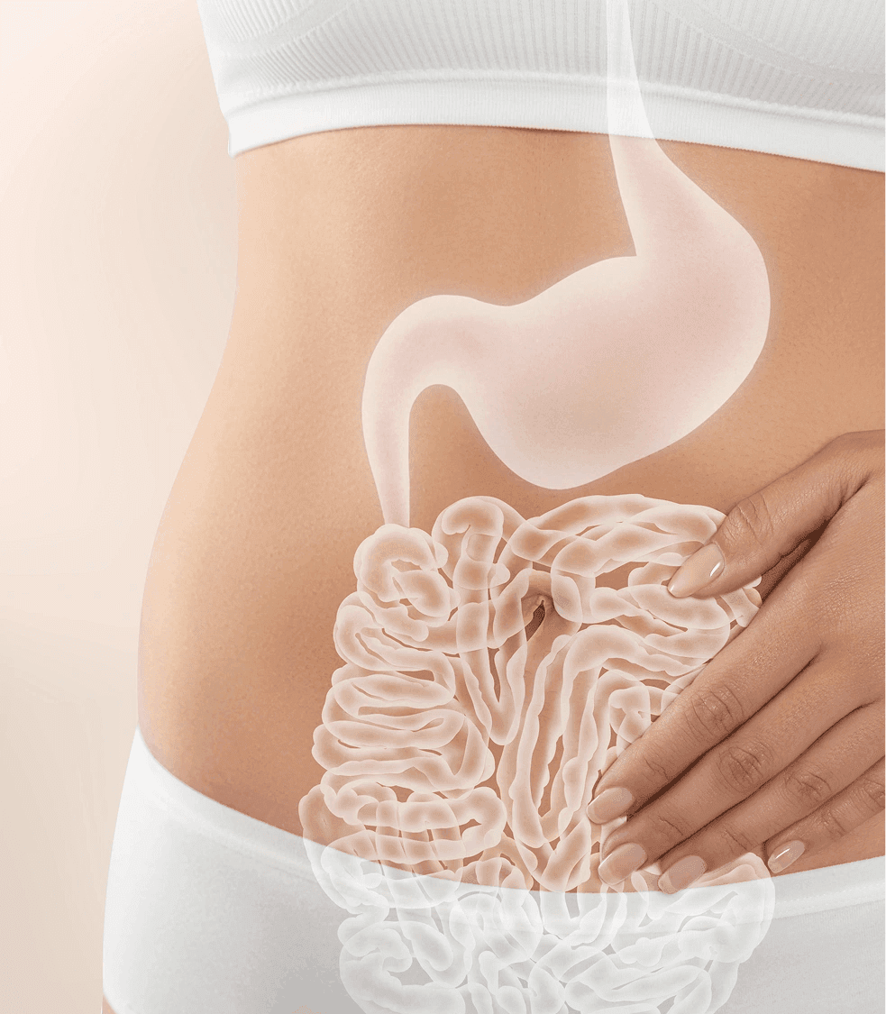 Gut Function Test