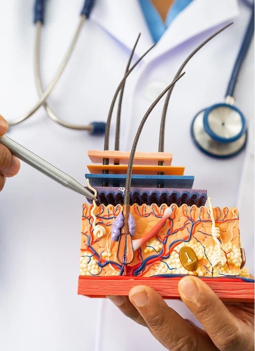 MD Dermatologist