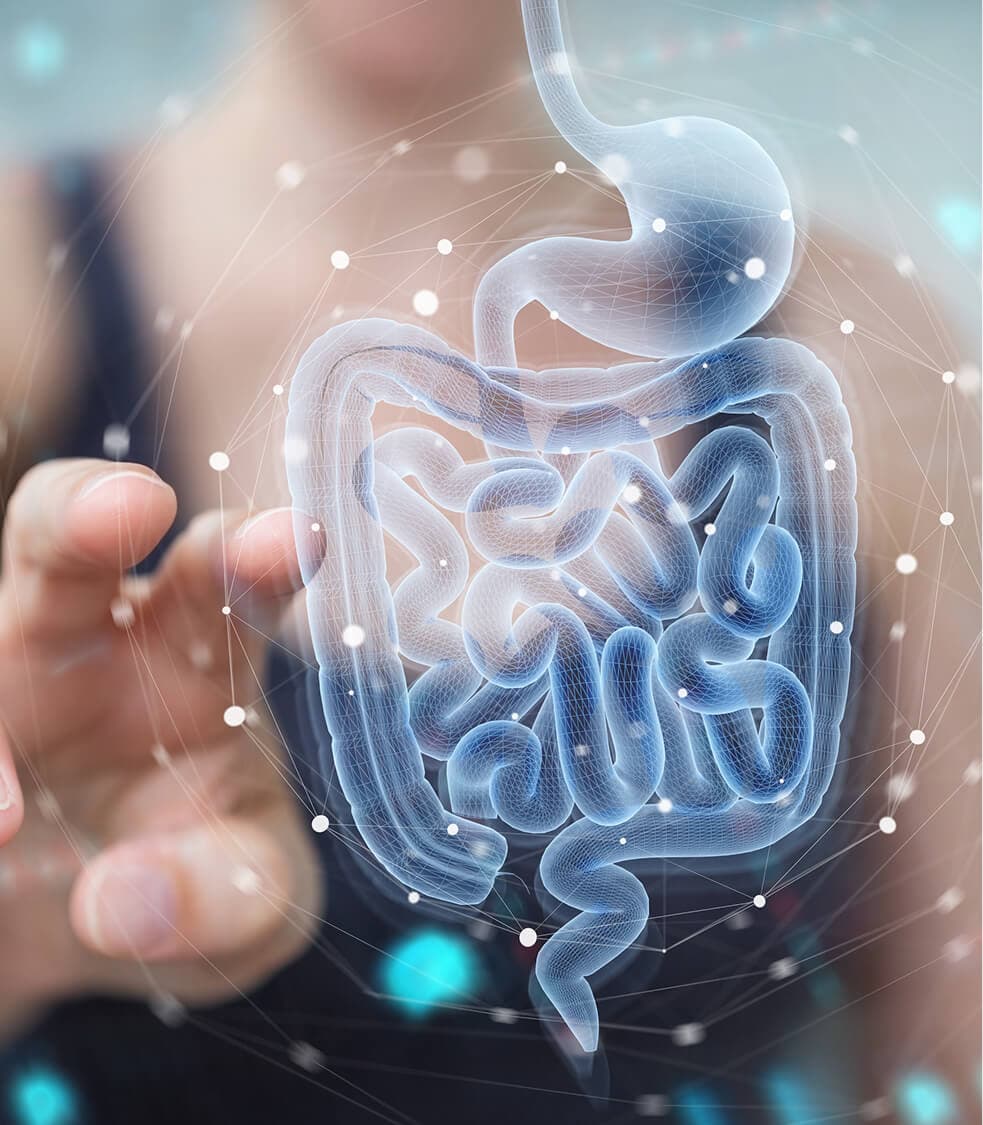 Gut Health Protocols