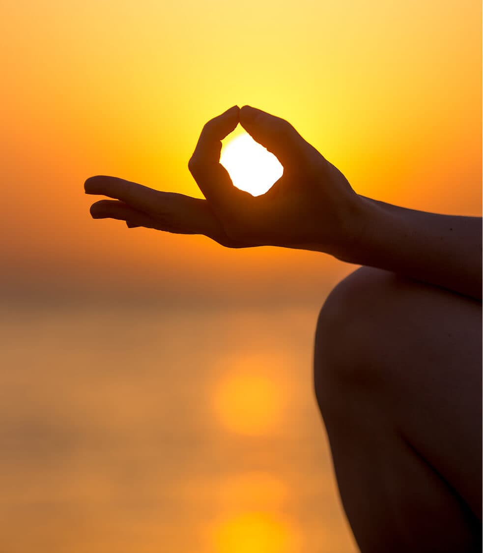 Yogic Detoxification